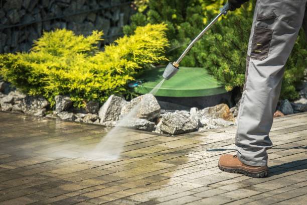 Best Pool Deck Cleaning  in Magnolia, NC