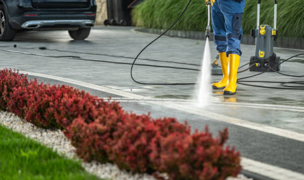 Best Factory Floor Cleaning  in Magnolia, NC